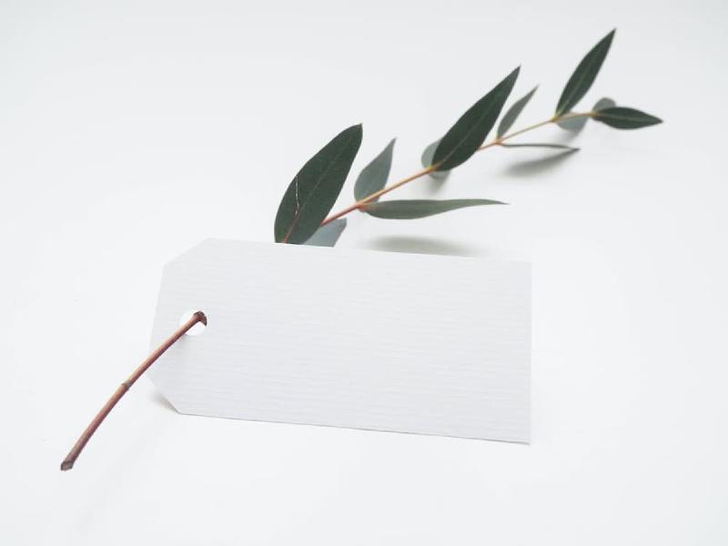 Featured image of post 相册